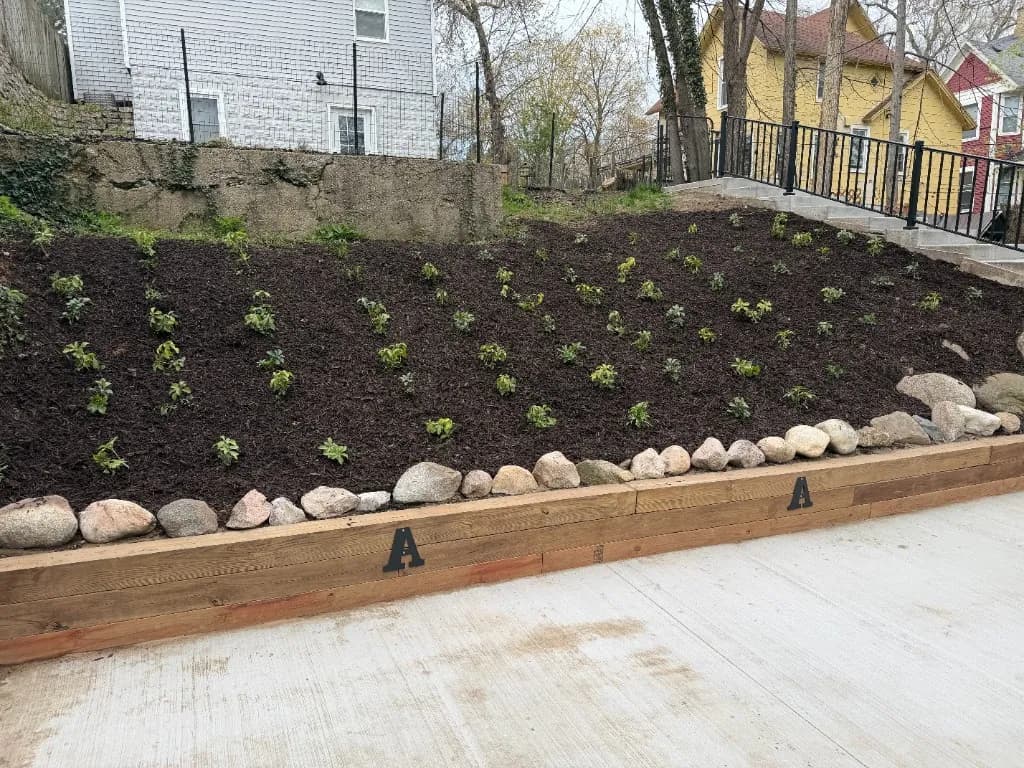 Hillside landscape with mulch, new plantings, stone border, and timber retaining wall East Grand Rapids Michigan