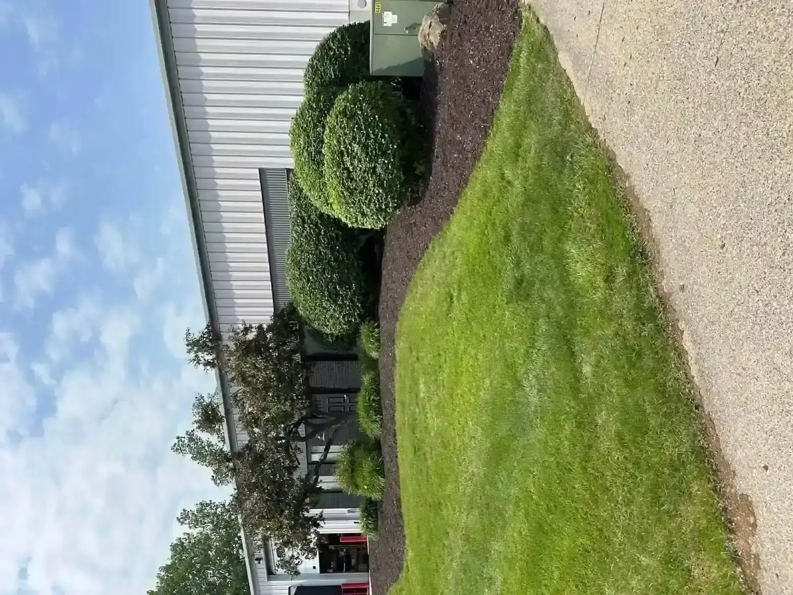 Professional hedge and bush trimming service East Grand Rapids MI