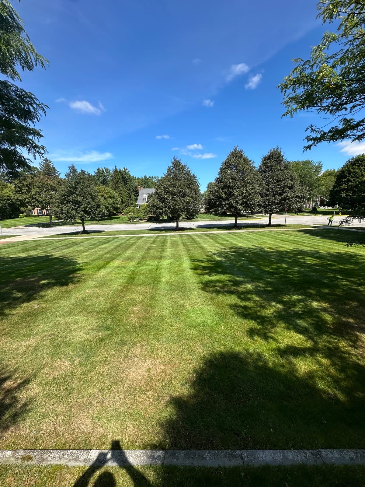 Residential lawn care and mowing service Grand Rapids MI