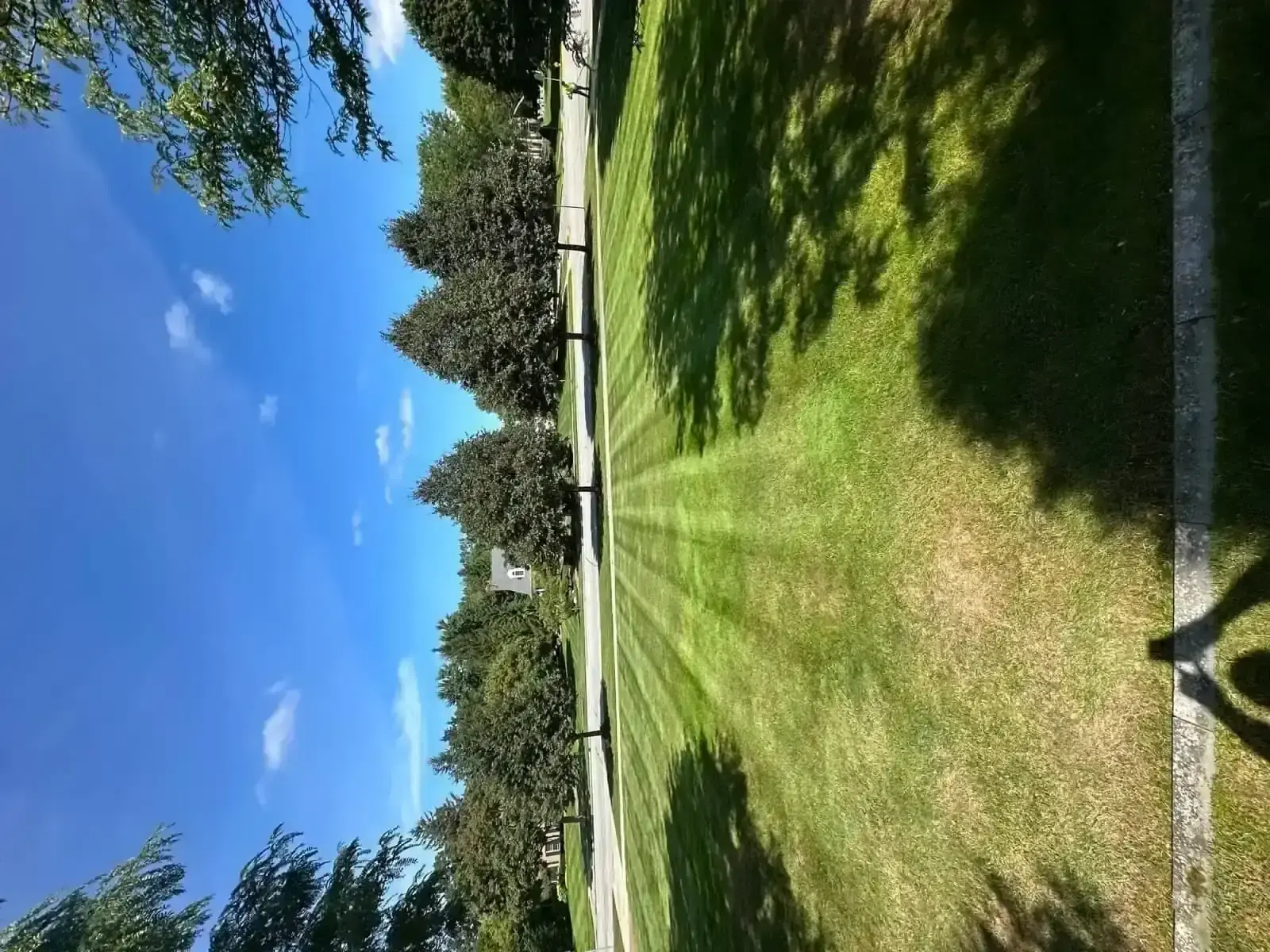 Residential lawn care and mowing service Grand Rapids MI