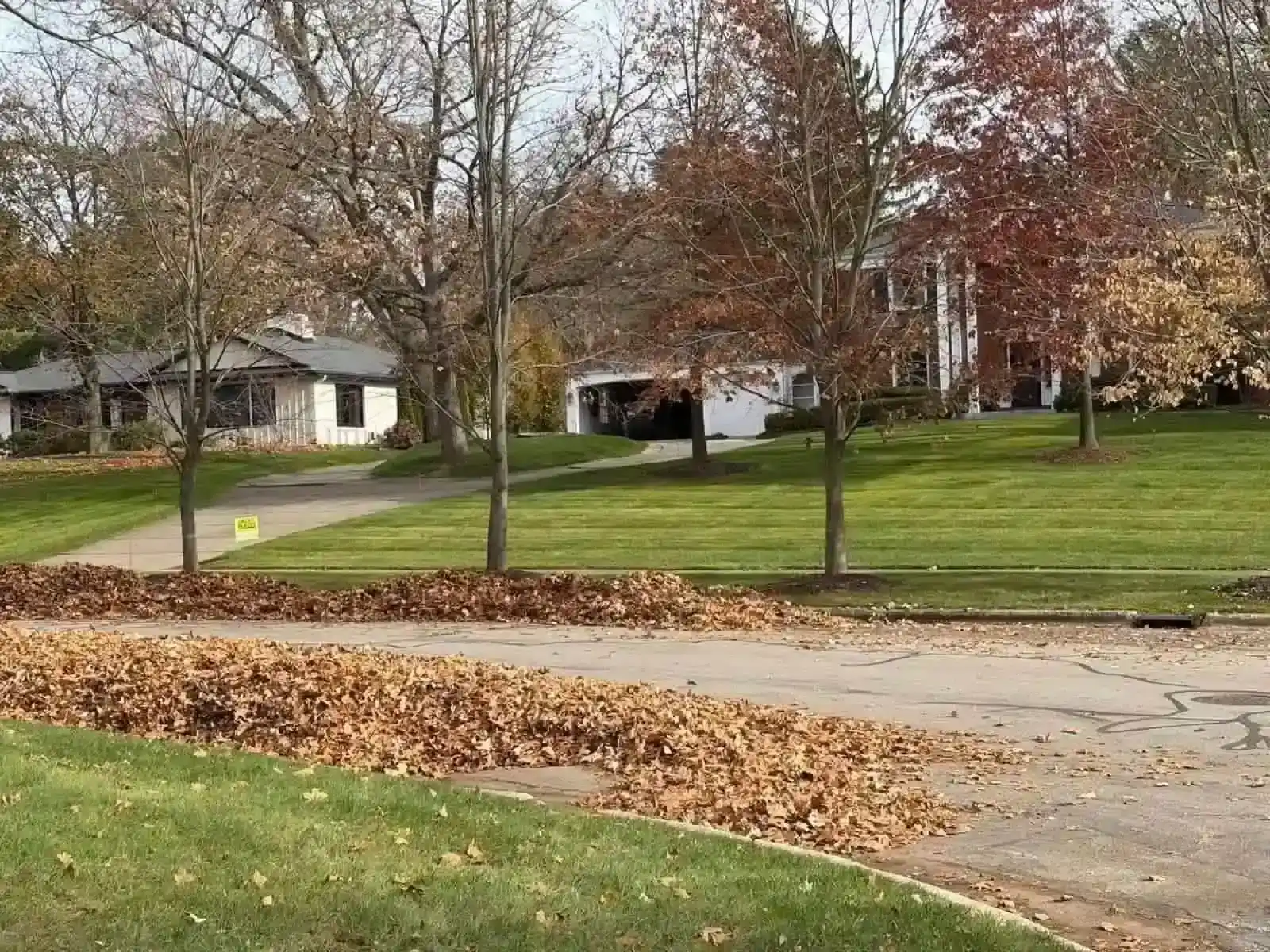 Fall and spring yard cleanup service East Grand Rapids Michigan