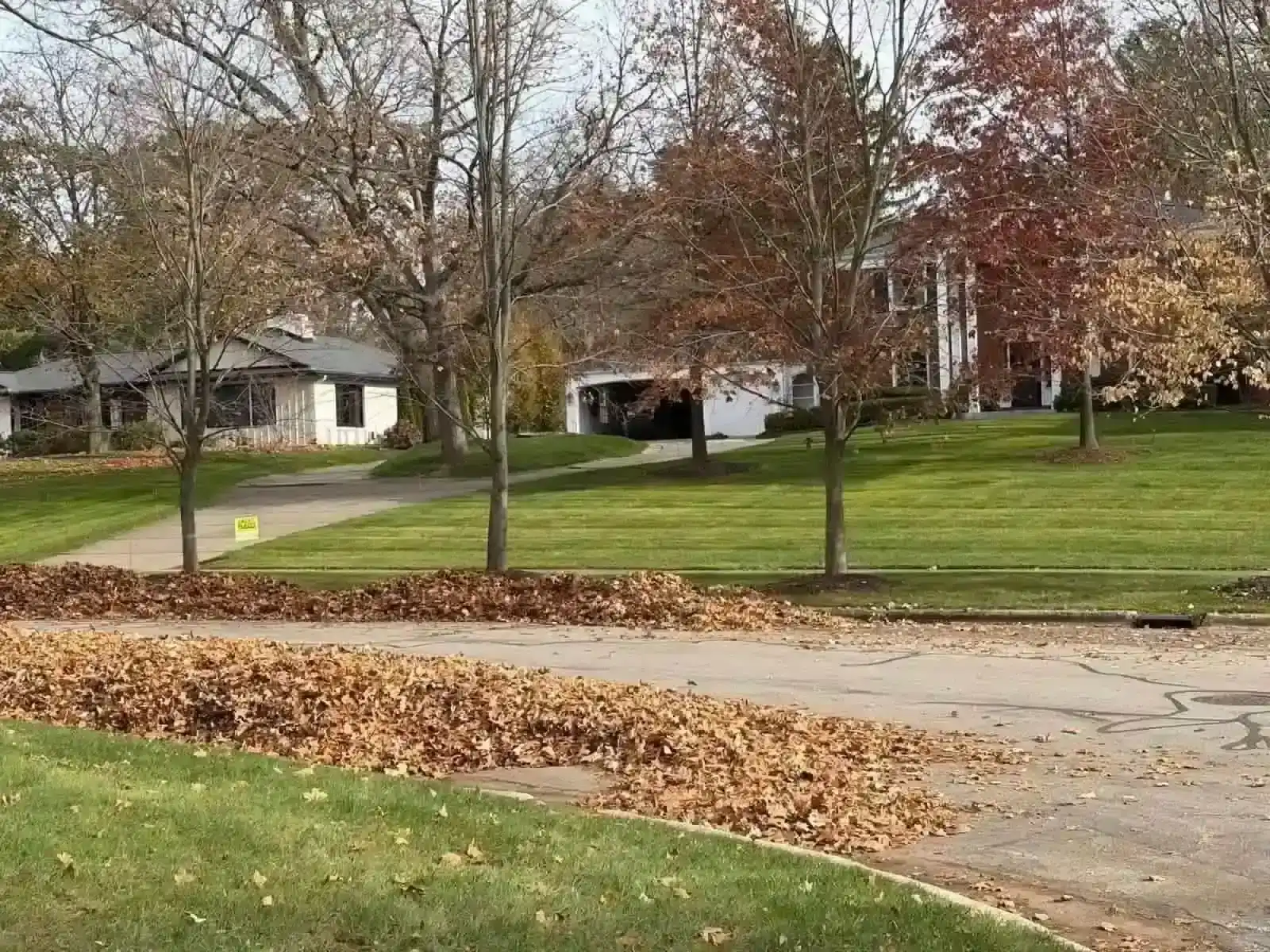 Fall and spring yard cleanup service East Grand Rapids Michigan