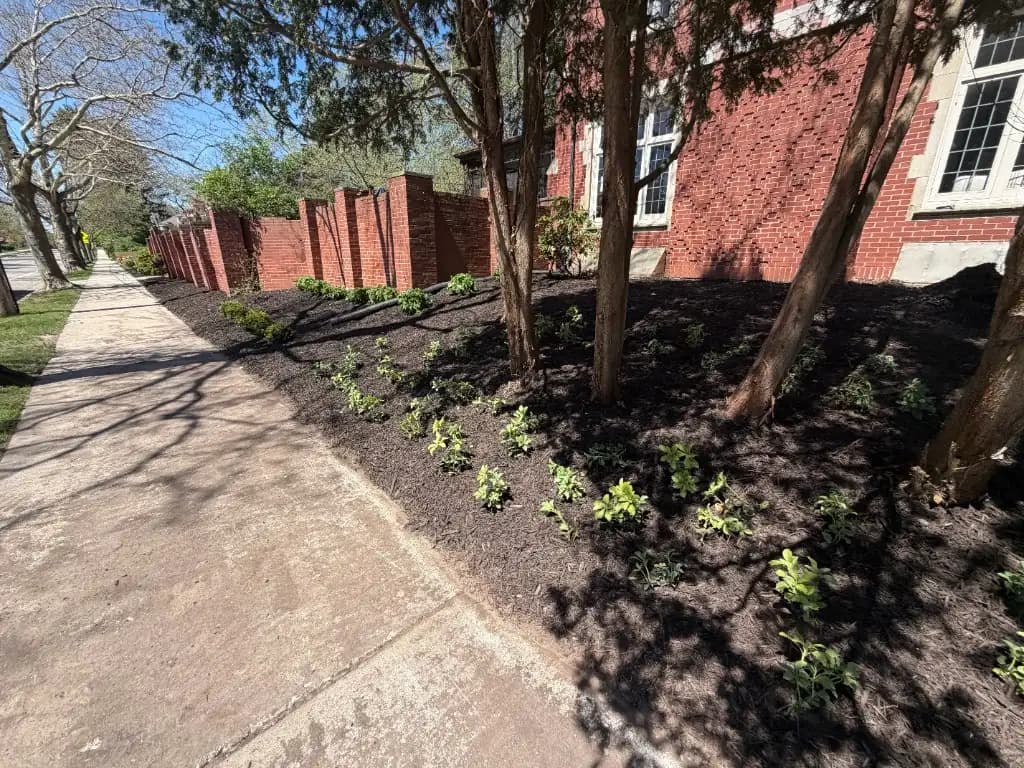 Fresh mulch bed with new plantings along brick fence Grand Rapids MI