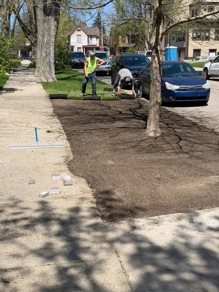 Sod installation on parkway boulevard Grand Rapids Michigan