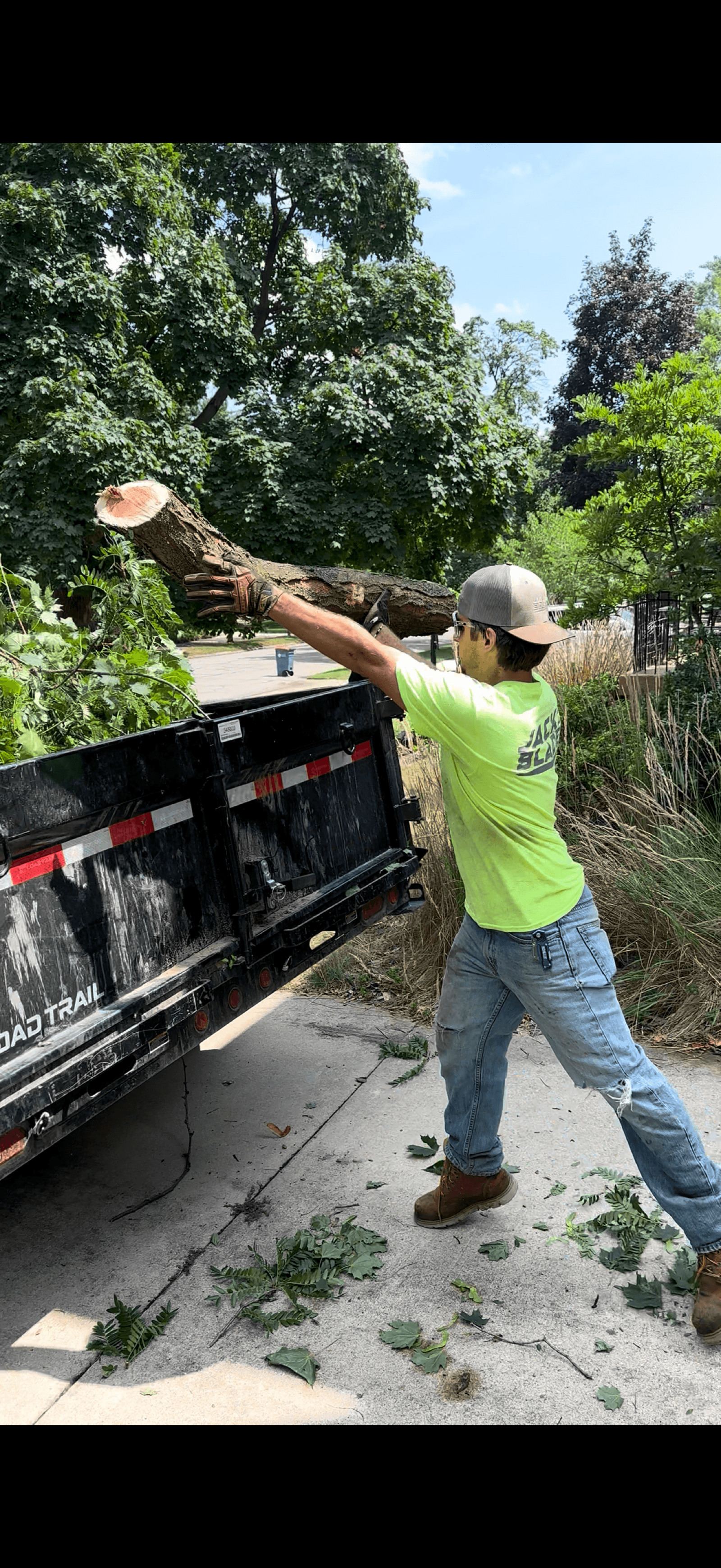 Tree removal and stump grinding service Grand Rapids MI