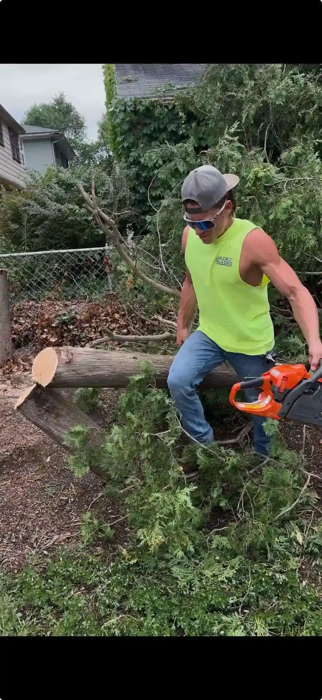 Hedge trimming and tree work by Jack of All Blades Grand Rapids MI